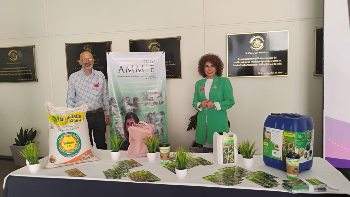 Stand de una socia en la Expo de Vinculación